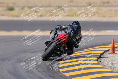 media/Oct-08-2022-SoCal Trackdays (Sat) [[1fc3beec89]]/Turn 11 Backside (1145am)/